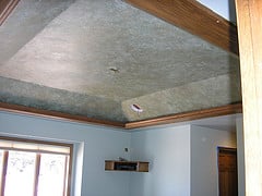 Painting Tray Ceiling