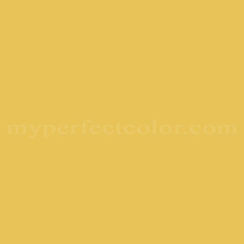 Color Image