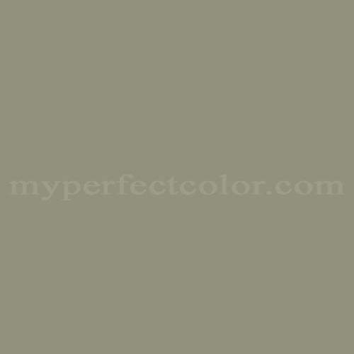 Color Image