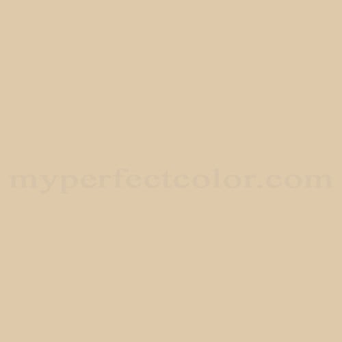 2M58E Asian Tan Paint | Custom Spray Paint Match Color