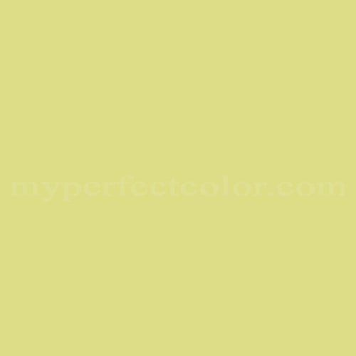 Ameritone Devoe 5C163 Yellow Sage Precisely Matched For Paint and
