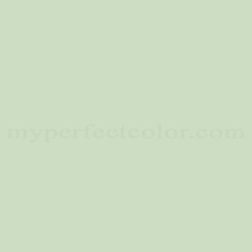 mint tea　0206 Tazo Herbal Caffeine-Free Refresh Mint Tea Bags For a