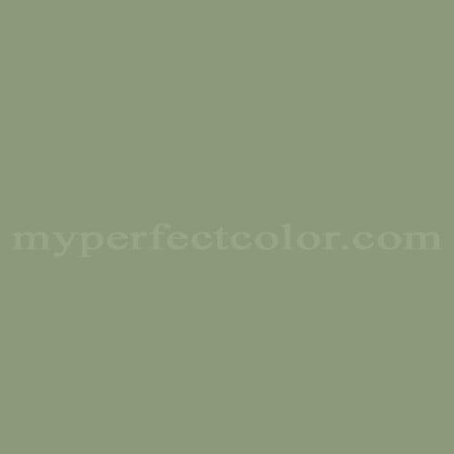 Color Image