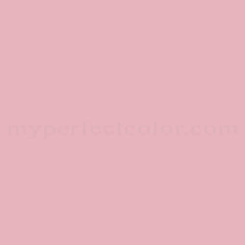Red & Pink Paint Colors — Bridget Beari® Colors
