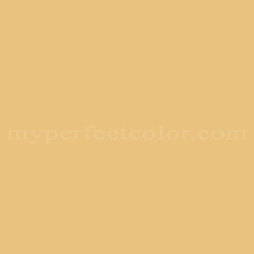 Color Image
