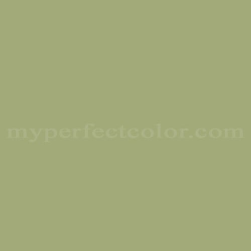 Color Image