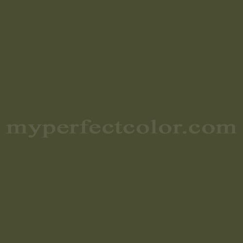 Color Image