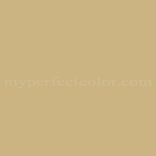 Color Image