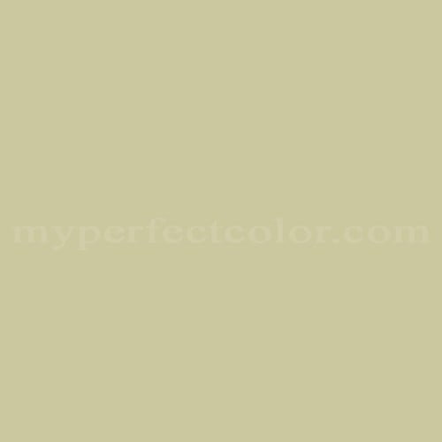 Color Image