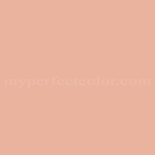 Kirken Jet podning Benjamin Moore WE-19 Pale Coral Precisely Matched For Paint and Spray Paint