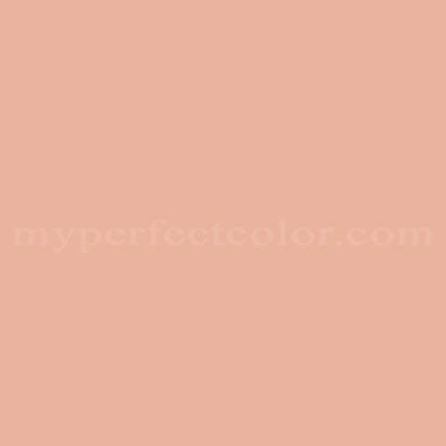 Kirken Jet podning Benjamin Moore WE-19 Pale Coral Precisely Matched For Paint and Spray Paint