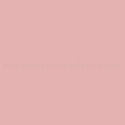 Clairtone 8031 8 Rose Nude Precisely Matched For Paint and Spray Paint