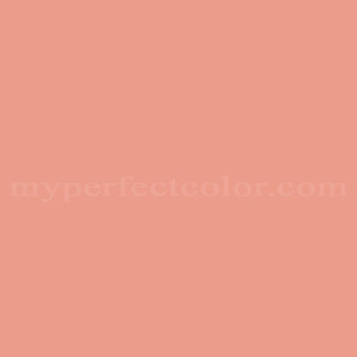 Cloverdale Paint 8031 Rosy Coral Precisely Matched For Paint and
