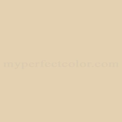 Cloverdale Paint 8514 Tropical Straw Precisely Matched For Paint and