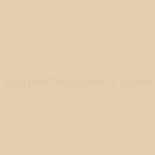 a/tan 8530 Simply Tan Paint | Custom Spray Paint Match Color