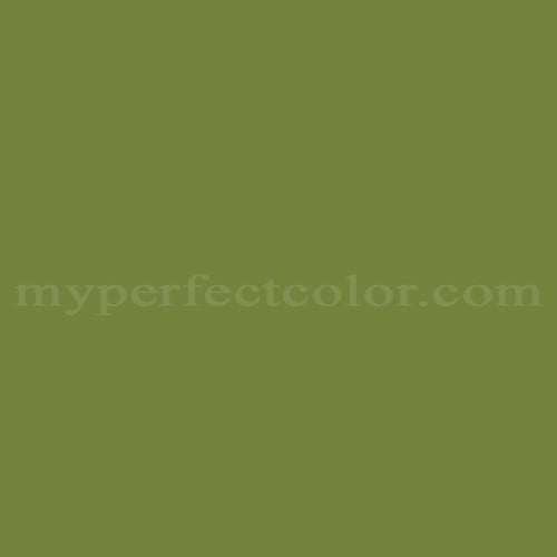Color Image