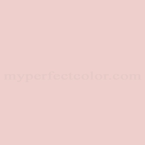 Color Your World 10YR67/111 Pink Ballet Precisely Matched For Paint and  Spray Paint