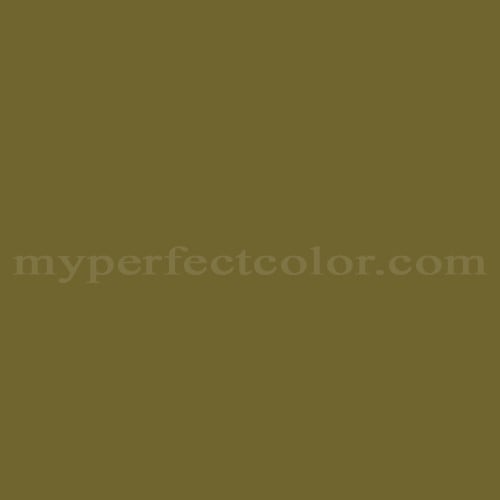 Color Image