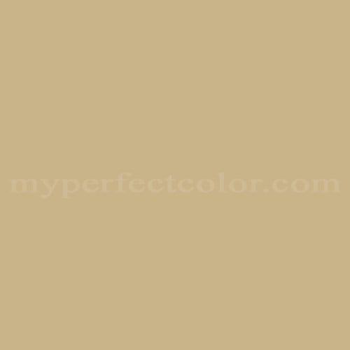Color Your World M 1347 Golden Taupe Precisely Matched For Paint And Spray Paint