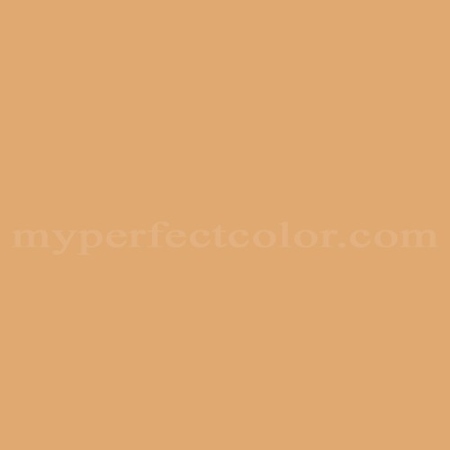 alimentar sobrino revista Color Your World M 1402 Desert Beige Precisely Matched For Paint and Spray  Paint