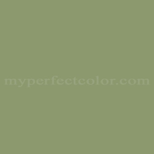 Color Image