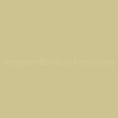 Color Image