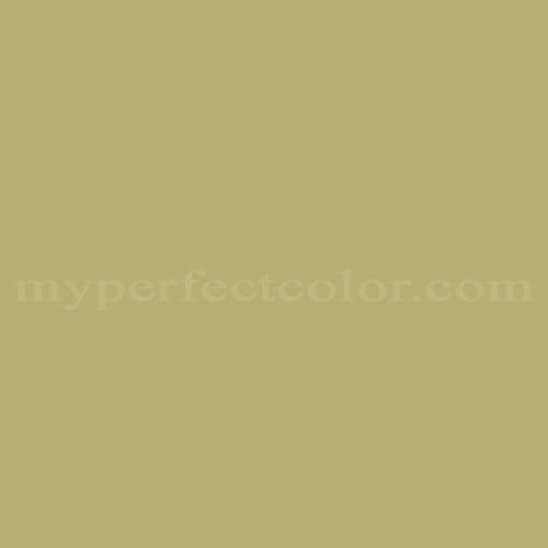 Color Image