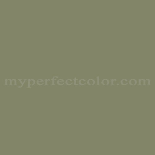 Color Image