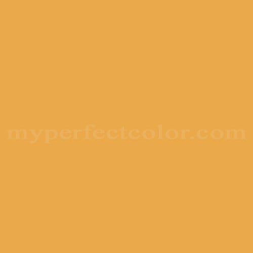 Color Image