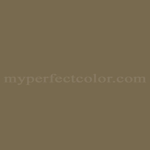 Color Image