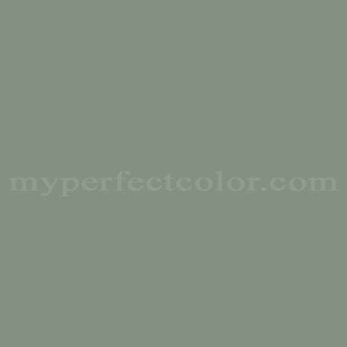 Color Image