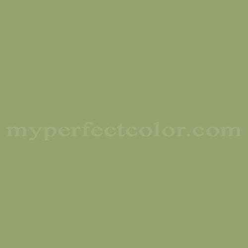 Color Image