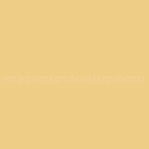 Color Image