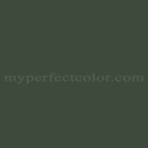 Color Image