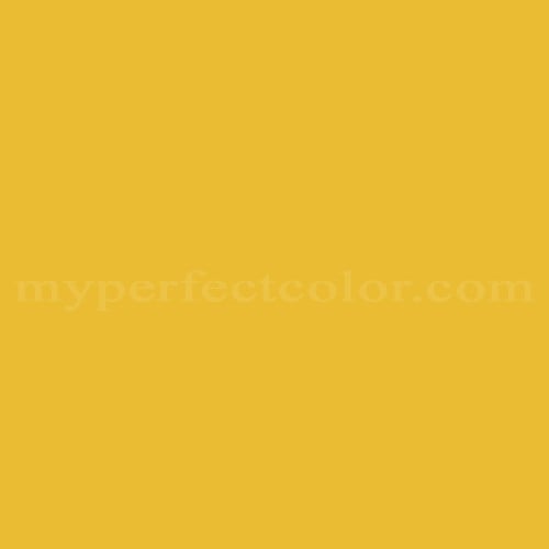 Color Image