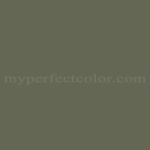 Color Image