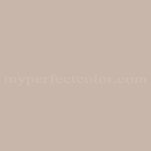 Latte shop paint color