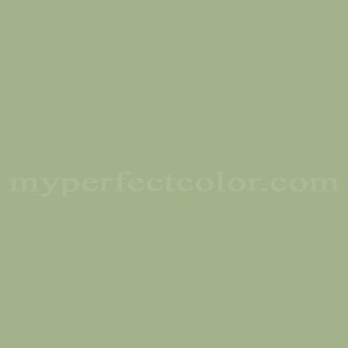 Color Image