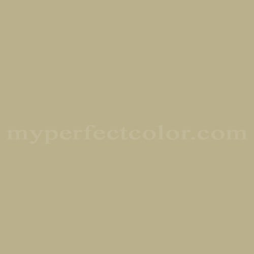 Color Image