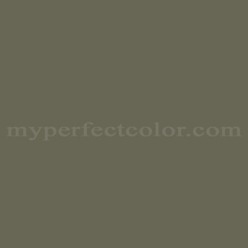 Color Image