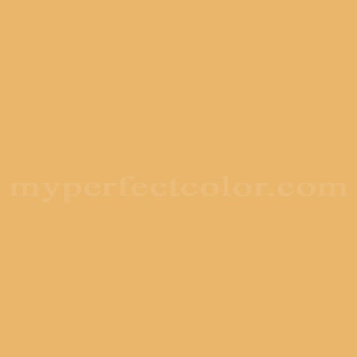 Color Image