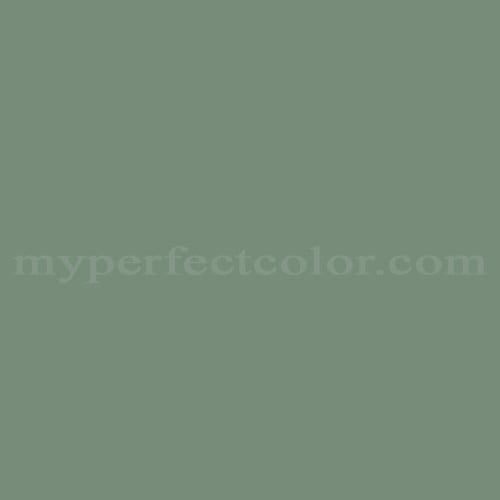 Color Image