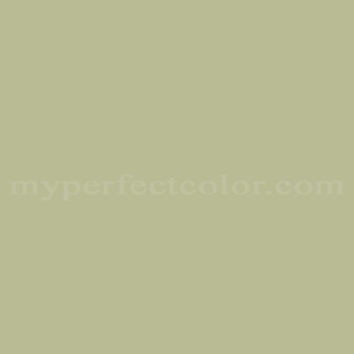 Color Image