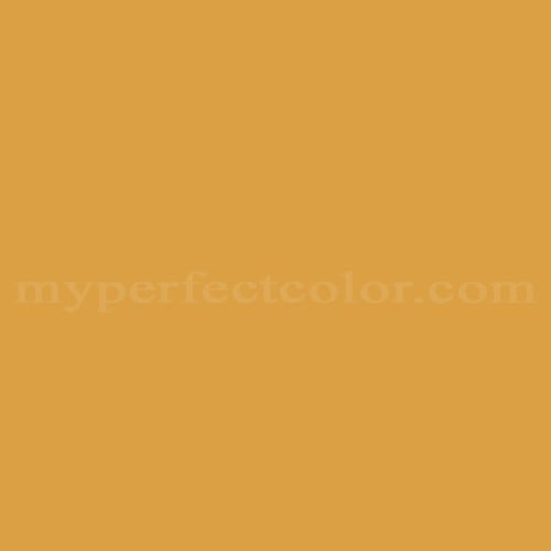 Color Image
