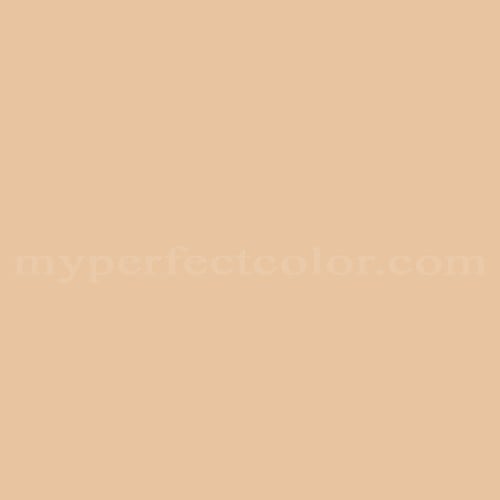 MSL038 Fortune Cookie Paint | Custom Spray Paint Match