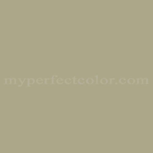 MSL092 Saguaro Paint | MyPerfectColor Spray Paint Match