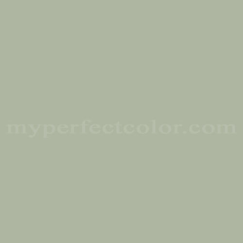 Color Image
