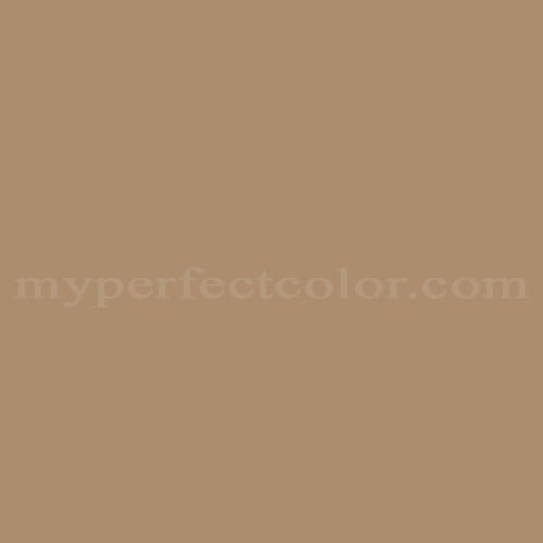 Toasted Beige - Neutral Paint Colour