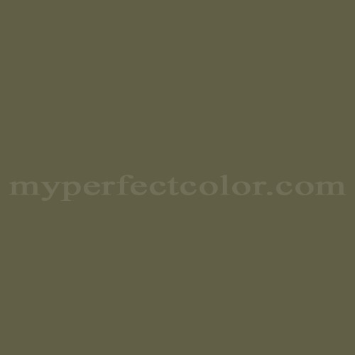Gold Acrylic Professional Spray Paint - Olive Green
