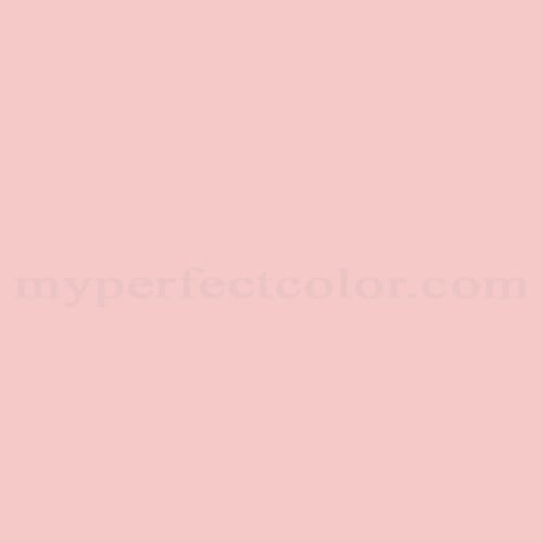 Natural Color System™ S0520-R